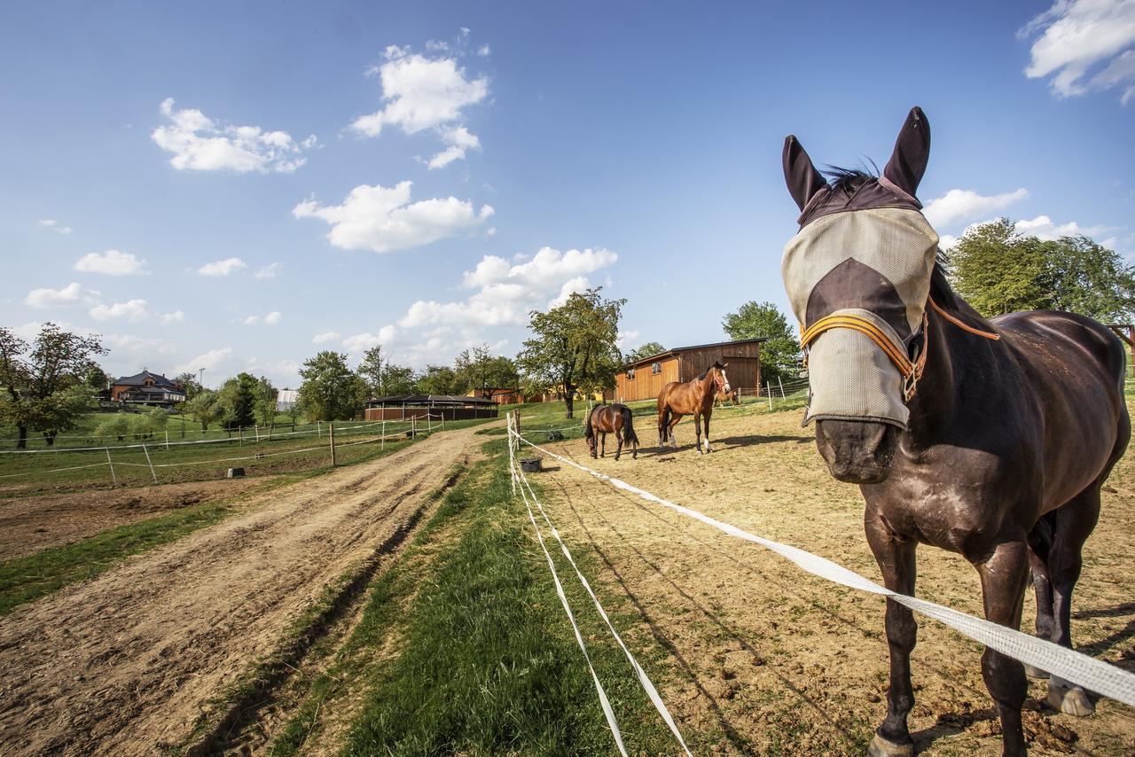 Hotel Horse Riding - Jezdecky Areal Tršice מראה חיצוני תמונה